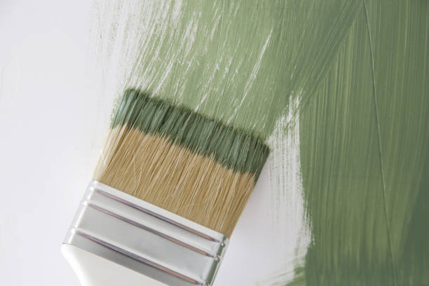Best Mold Removal for HVAC Installations  in Sumrall, MS
