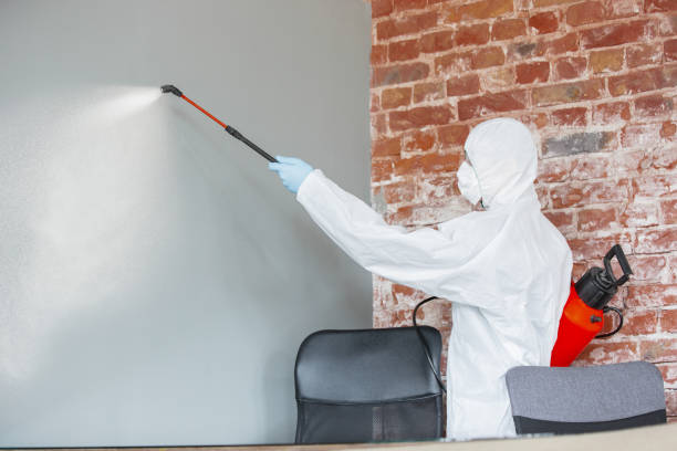 Mold Documentation for Insurance Claims in Sumrall, MS