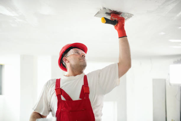 Best Air Quality Testing for Mold Spores  in Sumrall, MS