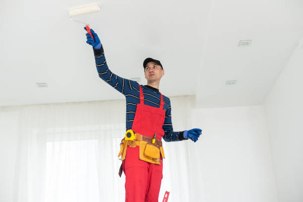 Best Commercial Mold Inspection  in Sumrall, MS