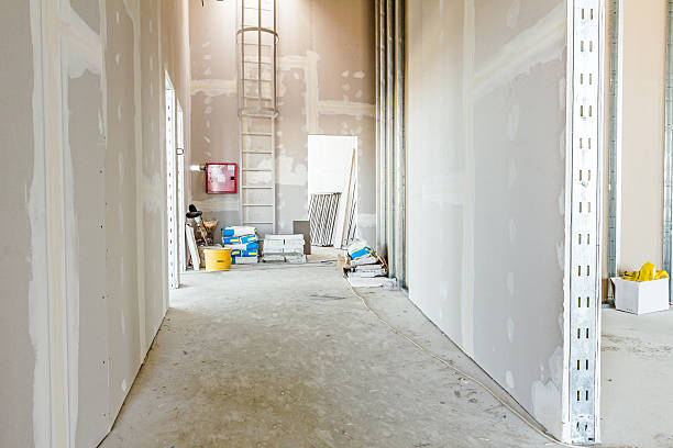Best Mold Remediation for Healthcare Facilities  in Sumrall, MS