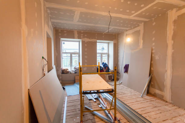 Trusted Sumrall, MS Mold Removal Experts