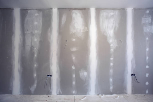 Best HVAC Mold Inspection and Cleaning  in Sumrall, MS